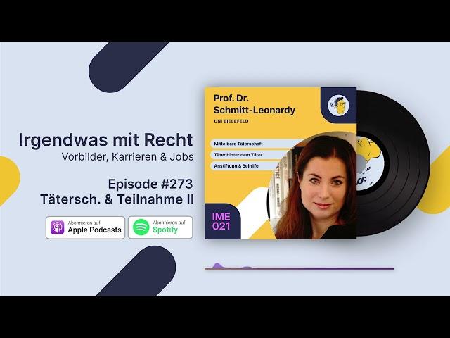 Täterschaft und Teilname - Teil 2 | Interview Prof. Schmitt-Leonardy | Irgendwas mit Recht #273