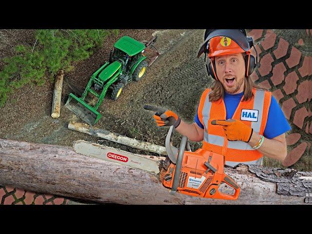 Farm work with Handyman Hal | Chainsaw and Tractors Pushing Trees