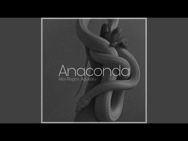 Anaconda