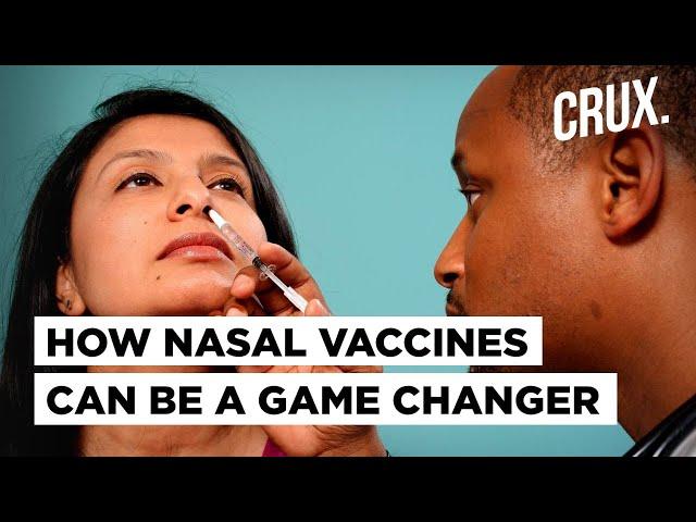 How Nasal Vaccines Work & Why Bharat Biotech's Intranasal Covid Vaccine Can Help In 100% Vaccination