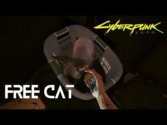 How to get a cat? | Cyberpunk 2077 Guide
