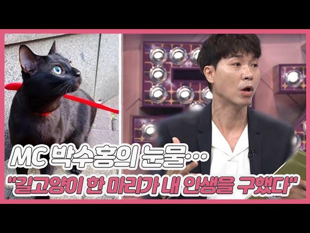 MC 박수홍의 눈물… ＂입양한 길고양이 한 마리가 내 인생을 구했다＂ MBN 210327 방송