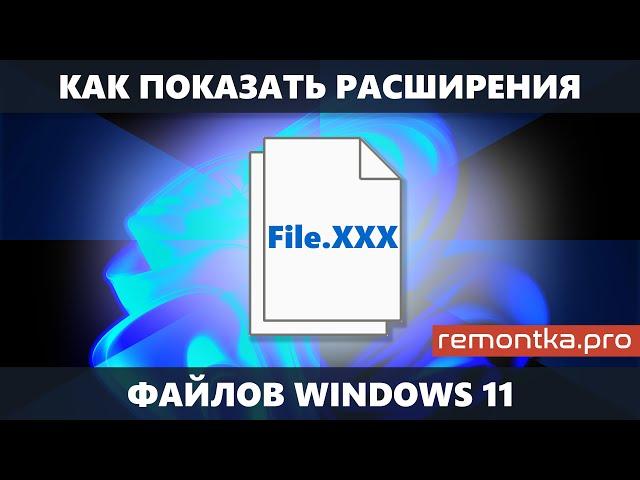 Как показать расширения файлов Windows 11 (2 способа)
