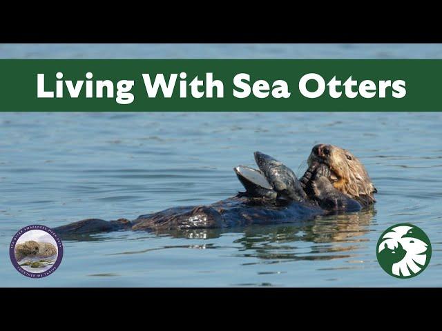 Living with Sea Otters: A New Look at Coexistence with a Recovering Species