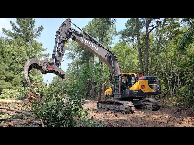 Clearing Down The Old Abandoned Road To Clean it Up