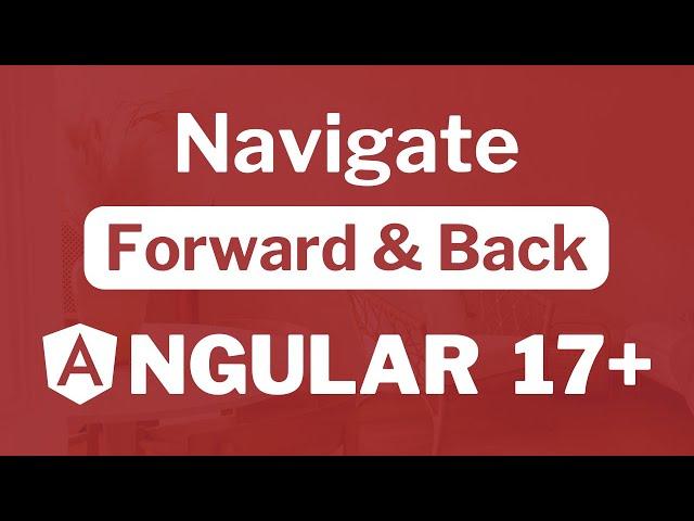 How to navigate Back and Forward in Angular 17?