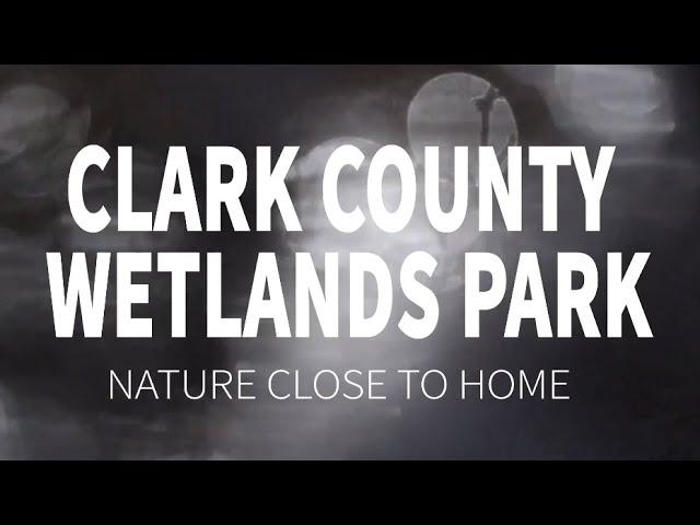 Clark County Wetlands Park: Nature Close to Home - NANPA 2019