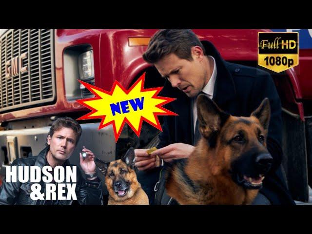 Hudson & Rex Season  Hudson & Rex full episodes 2025 New Today  Hudson & Rex Full Episode #A81