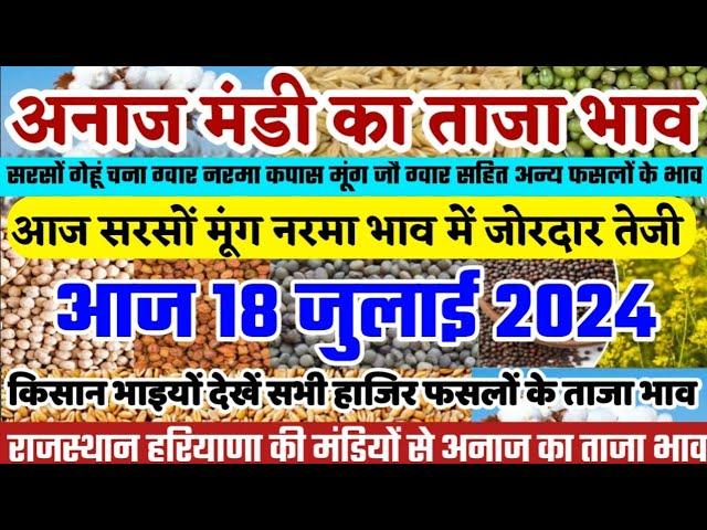 अनाज मंडी भाव| 18 जुलाई 2024 आज सरसों मूंग नरमा ग्वार में जोरदार तेजी| Gehu ka bhav, Anaj Mandi Bhav