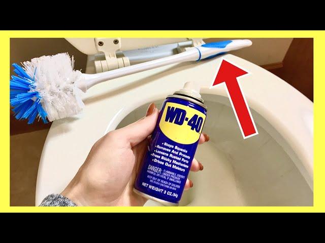 The TRUTH About WD 40 vs TOILET for Cleaning!! (The One TRICK Everyone Should KNOW?!) | Andrea Jean