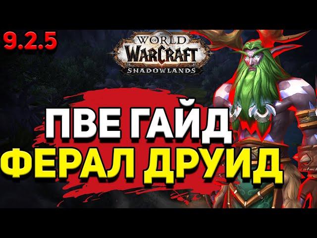 PvE гайд по Друиду «Сила зверя» в WoW Shadowlands 9.2.5