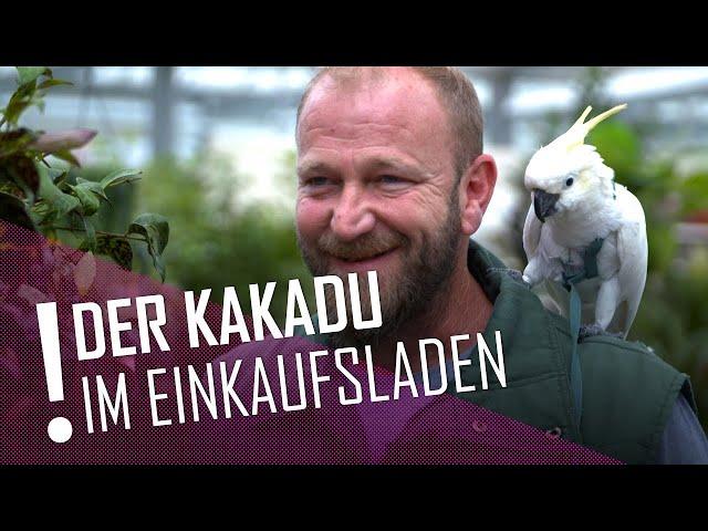 Vogel Papa Jörg nimmt seinen Kakadu mit zur Arbeit | DER TIERISCHE DONNERSTAG | Kamera Zwei