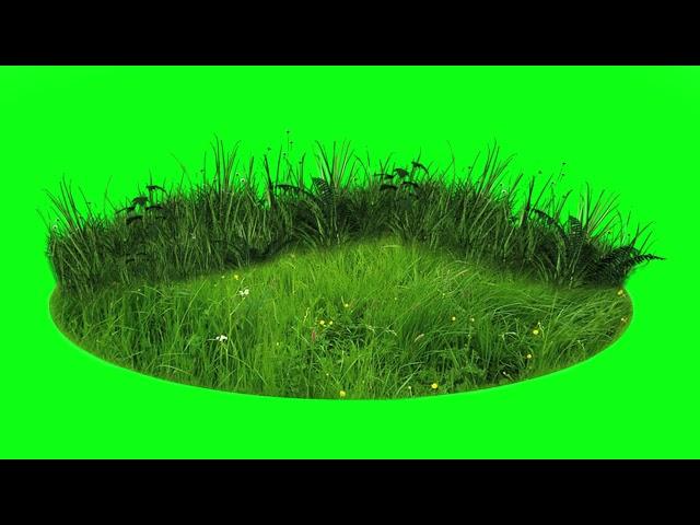 65 GREEN SCREEN FOOTAGE 100% FREE to USE FREE STOCK FOOTAGE