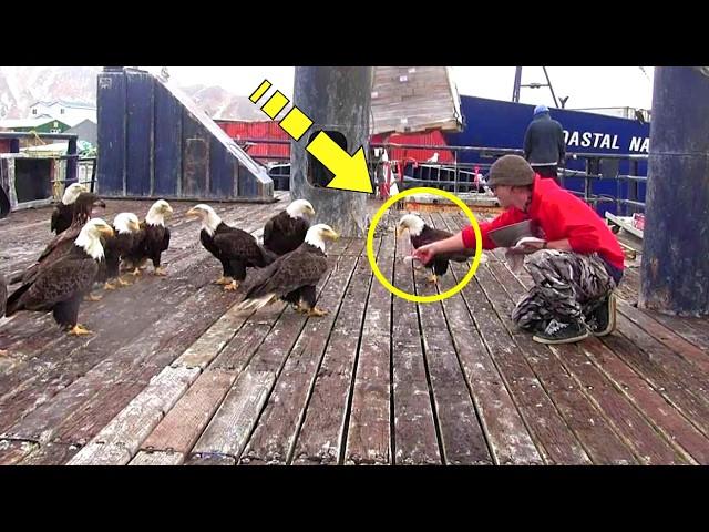 Hungry eagles surrounded the man. But what he did shocked everyone!