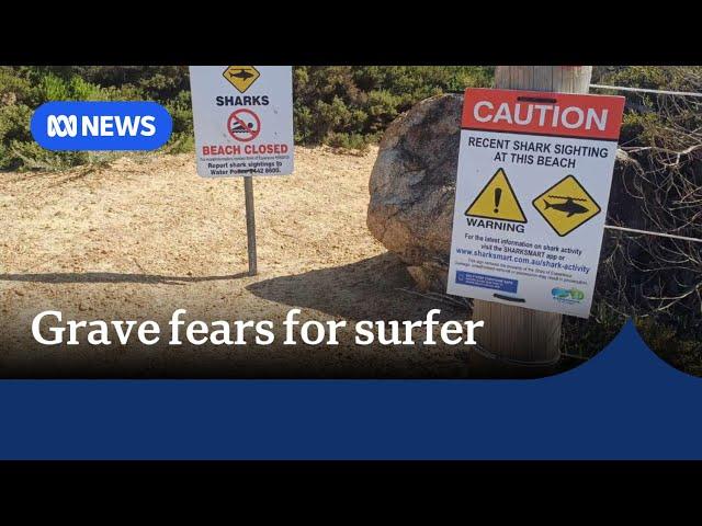 Surfer missing off WA's south-east coast after shark attack | ABC News