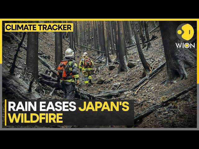 Rain Checks Spread Of Japan Wildfire | WION Climate Tracker