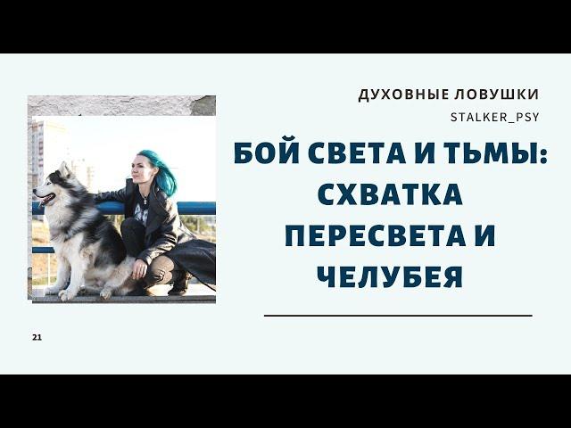 Бой Света и тьмы: схватка Пересвета и Челубея