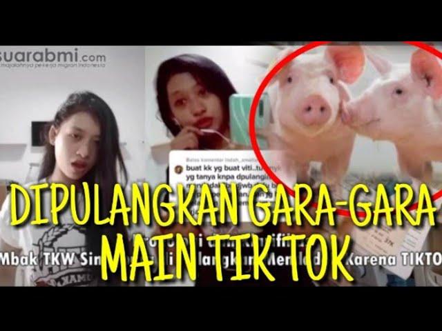 VIRAL || TKW SINGAPURA DI PULANGKAN GARA-GARA MAIN TIK TOK