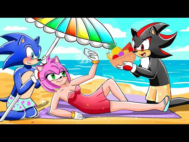 Amy's New Rich Life | Sonic Life Story | Sonic the Hedgehog 2 Animation