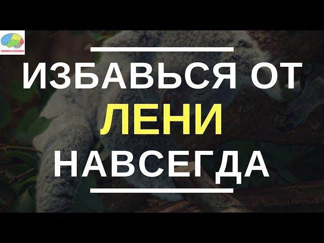 Нет Оправданий! Сила Самодисциплины - Брайан Трейси | Обзор Книги | Как избавиться от ЛЕНИ?