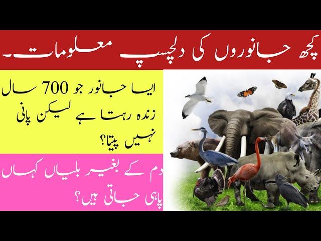 Animals facts/Animals of different countries/ zee information/