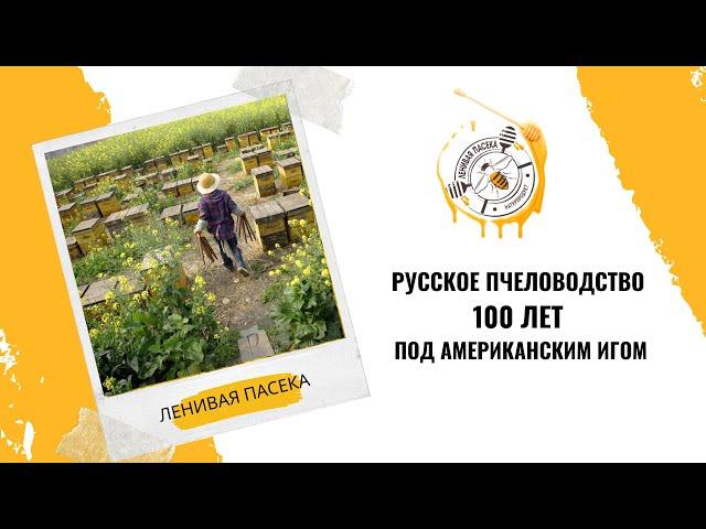 Пчеловодство в России  100 лет под американским игом