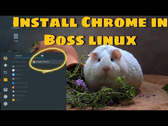 How to install Google Chrome  in Boss linux 