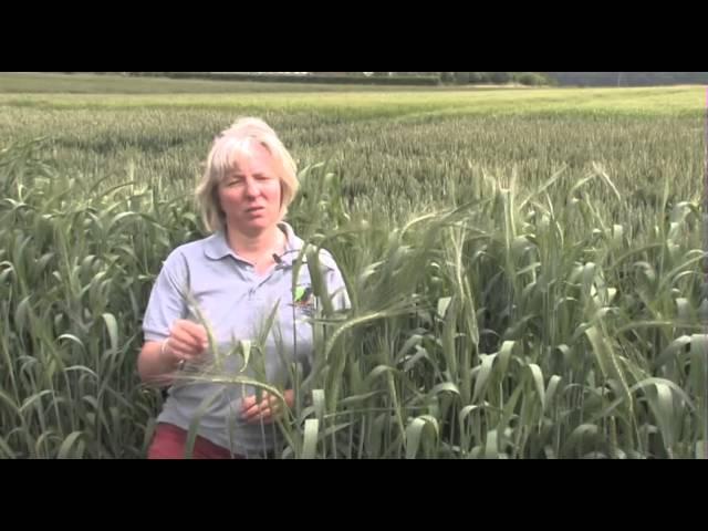 Resource Capture by Crops - Testimonials - June 2013