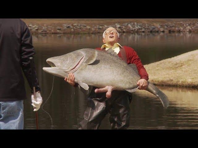 Член-рыба DICK-FISH \ Несносный дед Jackass Presents: Bad Grandpa