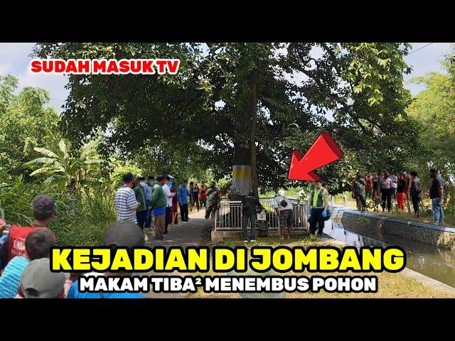 kejadian di jombang jawa timur‼️makam orang sakti tiba² menembus pohon SUDAH MASUK TV