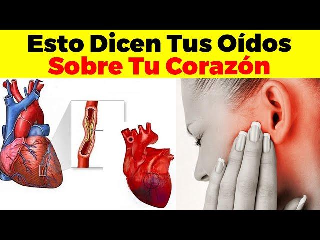 Esto Dicen Tus Oídos Sobre Tu Corazón - Enfermedades Que Revelan Tus Oídos Sobre Tu Cuerpo