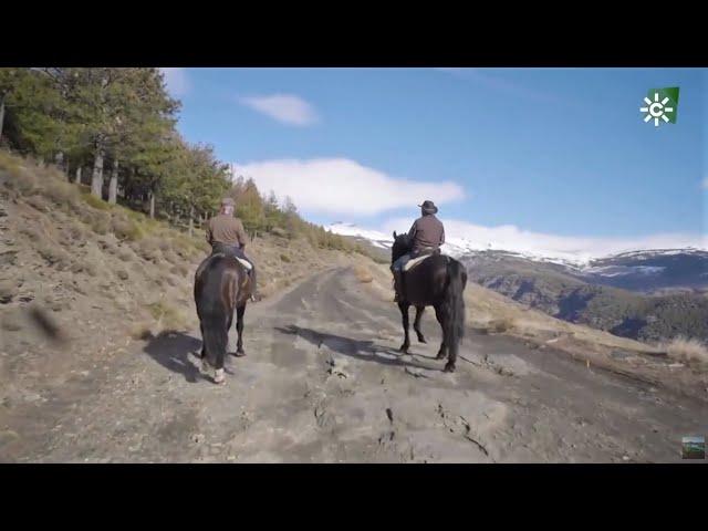 A caballo por las Alpujarras, Bérchules, Granada