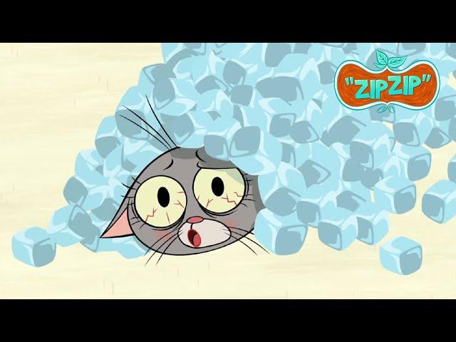 We have a great solution for fever! | Zip Zip English | Full Episodes | 2H | S1 | Cartoon for kids