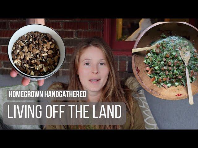 Living off what we grow, forage and hunt (Week 1)