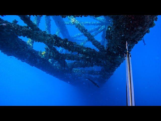 Spearfishing Offshore Oil Rigs DEEP 106-Foot Shot Freediving! || Gulf of Mexico Oil Rig Removal