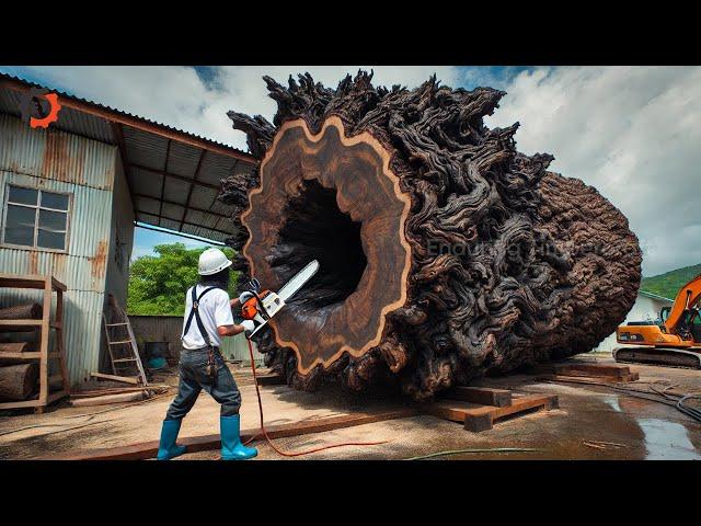 Steel monster swallows giant tree: The mystery of the modern wood factory  #36