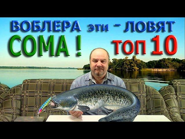 ВОБЛЕРА эти - ЛОВЯТ СОМА ! ТОП - 10