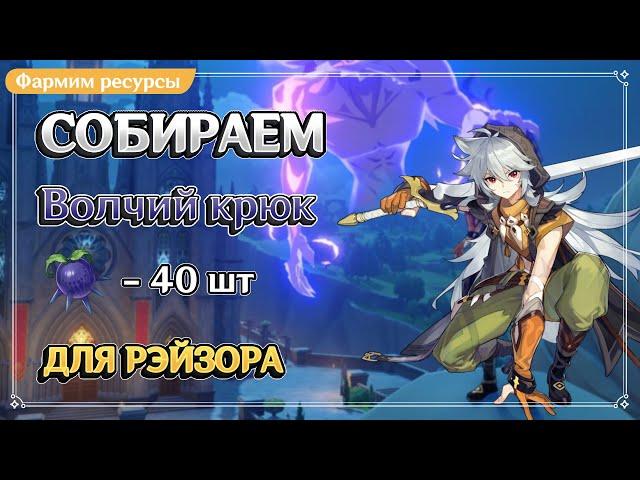 Волчий Крюк | Ягоды для Рэйзора | Genshin Impact Fact