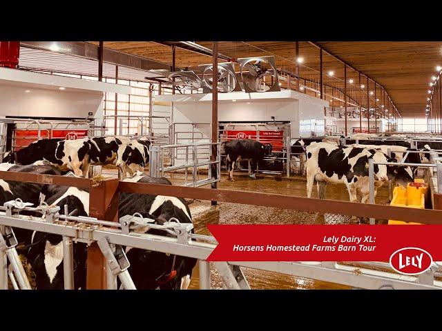 Lely Dairy XL - Horsens Homestead Farms Barn Tour