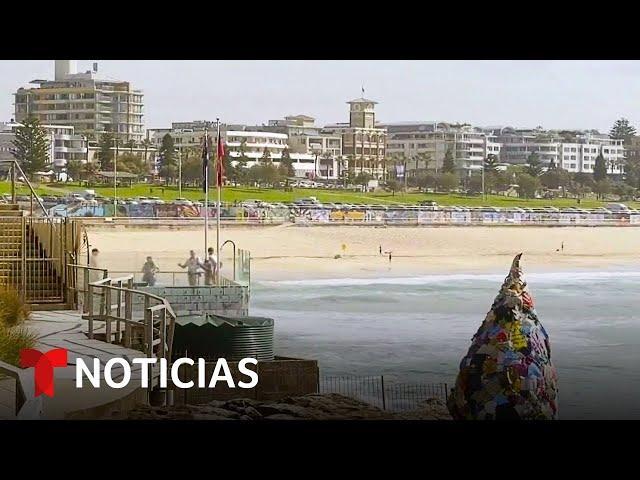 Crean arte con basura de la playa para hacer conciencia | Noticias Telemundo