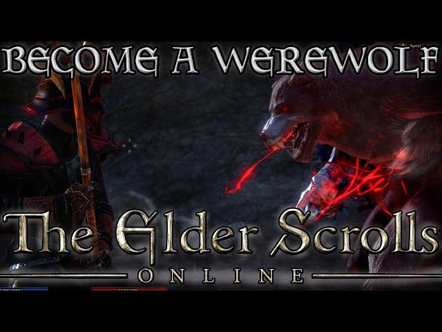 HOW to Become a WEREWOLF in ESO! (Elder Scrolls Online Quick Tips for PC, PS4, and XB1)