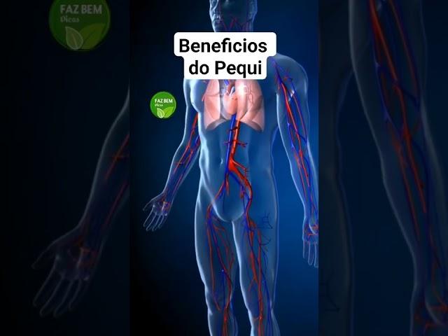 Benefícios do Pequi.