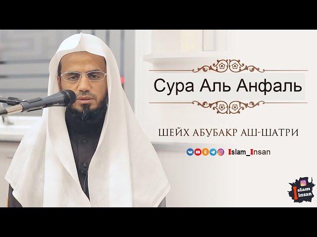 Абу Бакр Аш Шатри Сура Аль Анфаль  # 8  Abu Baker Al-Shatiri – Al-Anfal