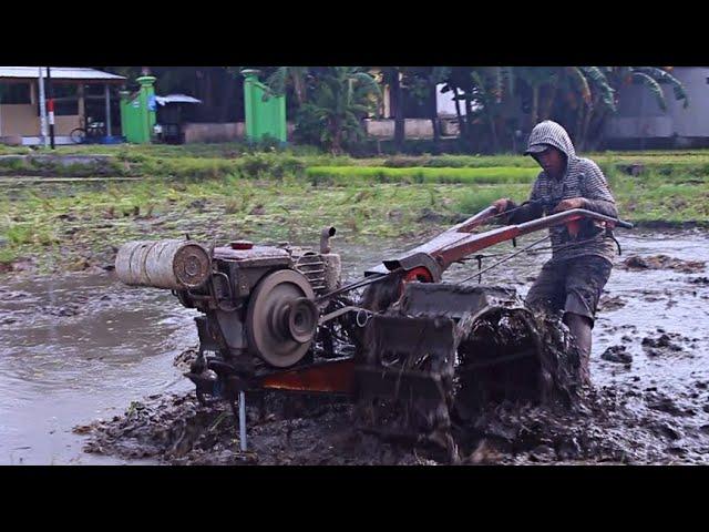 Gerak Cepat  !! Garu Traktor Sawah Quick Bekerja NGEBUT dan  Cepat Sekali Selesai