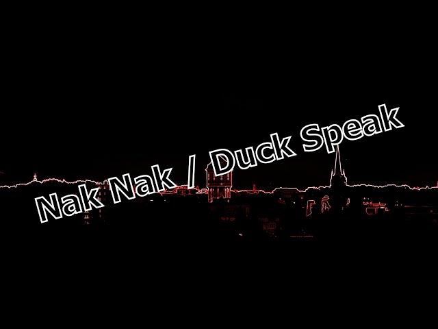 NAK NAK / Duck Speak