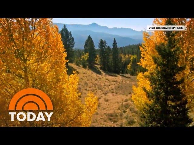 Top leaf peeping destinations for fall 2024