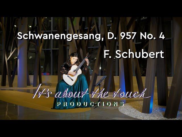 Schubert's Serenade (Schwanengesang - Ständchen) on Guitar, by Irina Kulikova