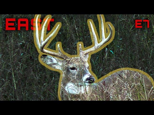 Eye’s On A Stud Maryland Whitetail, Pre-Rut Activity In Pennsylvania