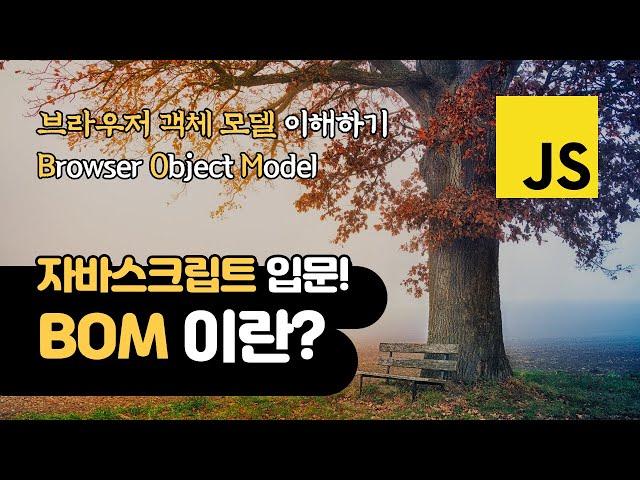 자바스크립트 BOM 이란? | 브라우저 객체 모델 | Browser Object Model  | 웹 개발 입문자들을 위한 강좌!