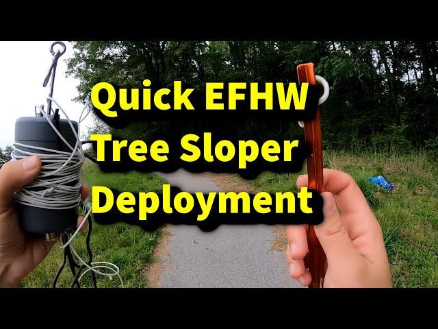 EFHW Tree Sloper Deployment -  Chamelon EMCOMM-II